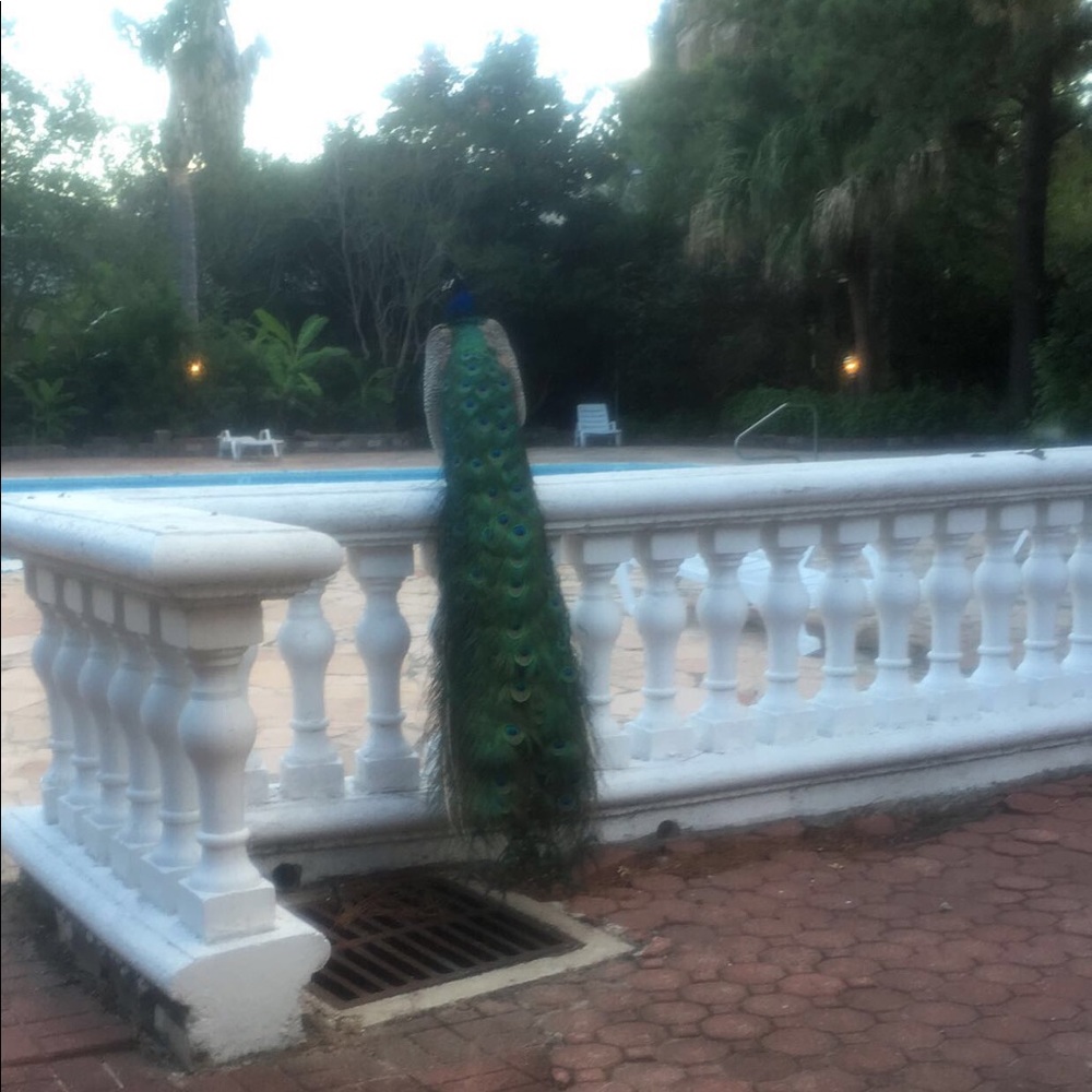 Meet your Posher, Natalie